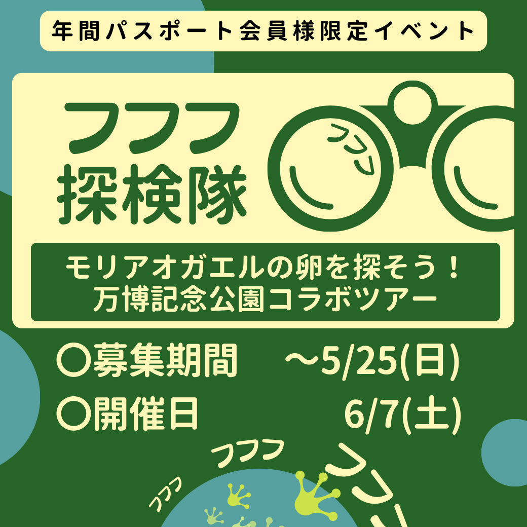 フフフ探検隊LINEサムネ.png