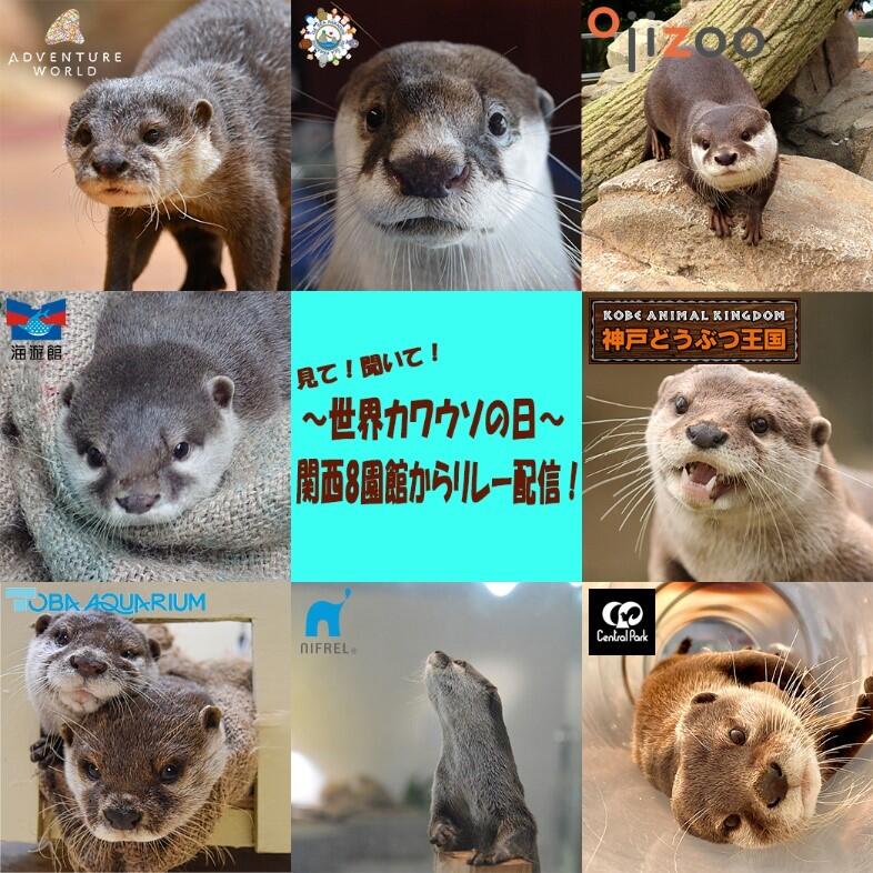 カワウソの日ビジュアル.jpg