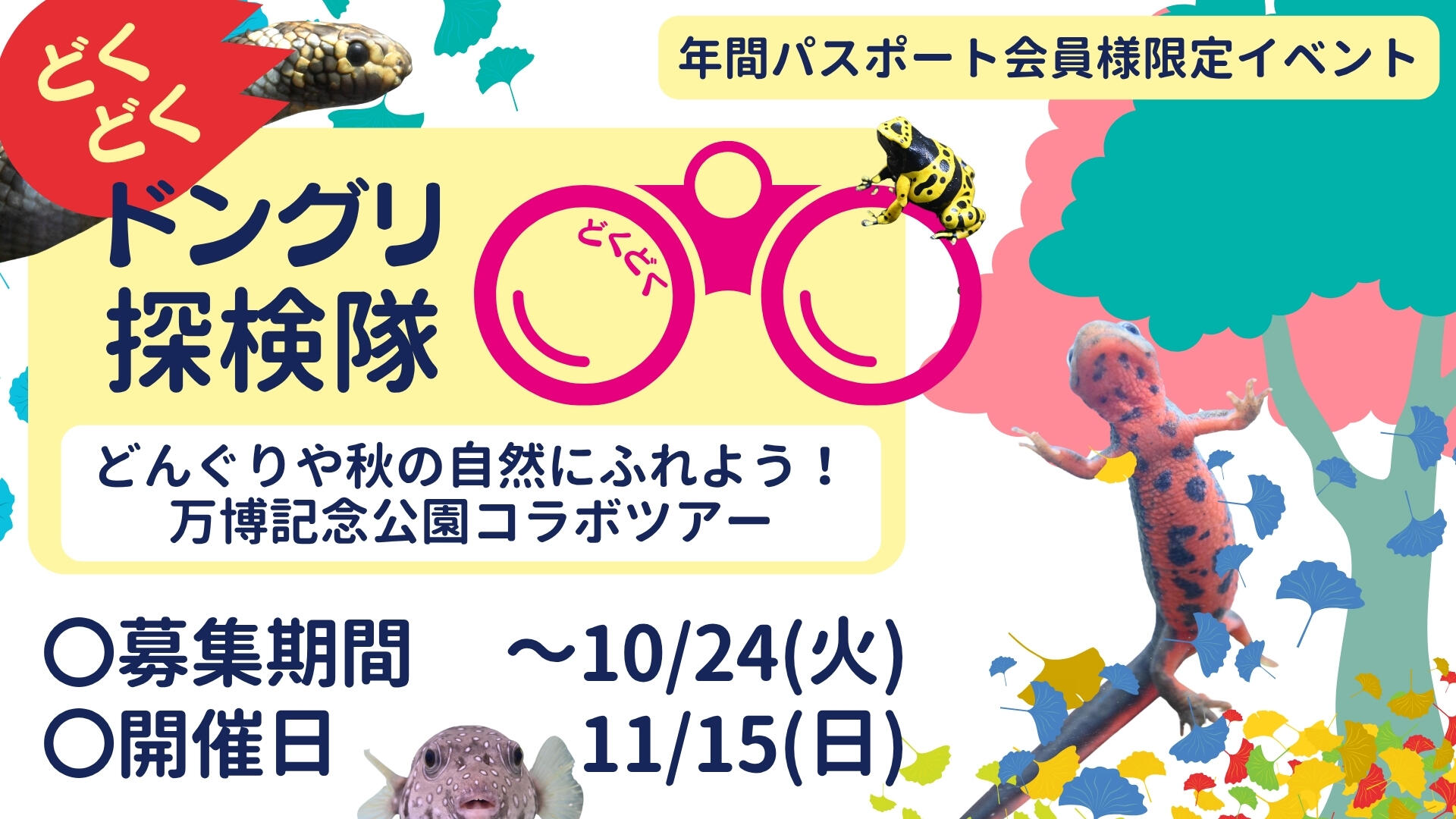 水色と青 大胆 シンプルなプレゼンテーションのコピー.jpg