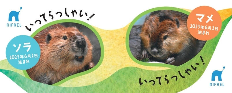いっゃ (2).jpg