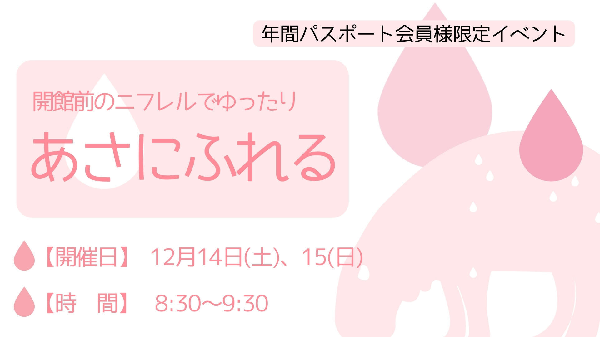 犬様 専用となります 犬様 専用となります