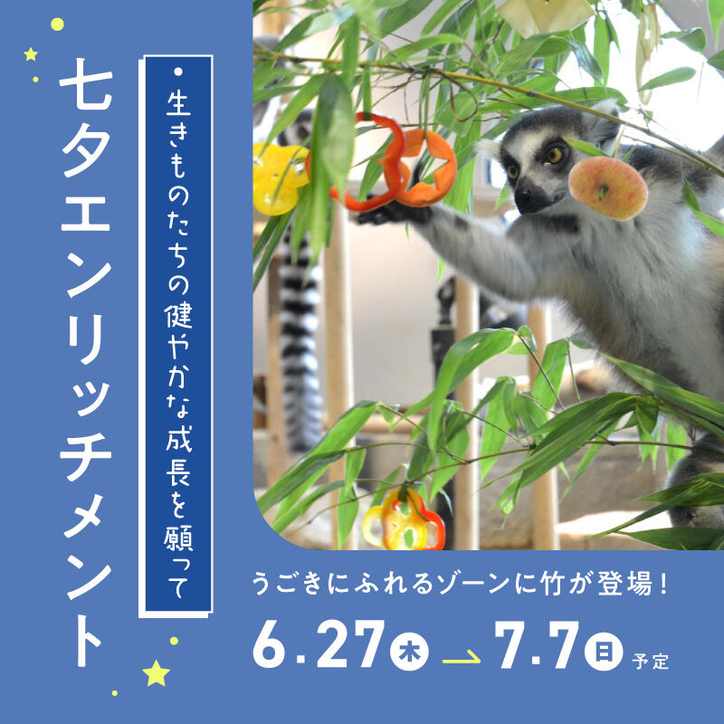nifrel_banner_newstop_800×800_240620_nyukou.jpg