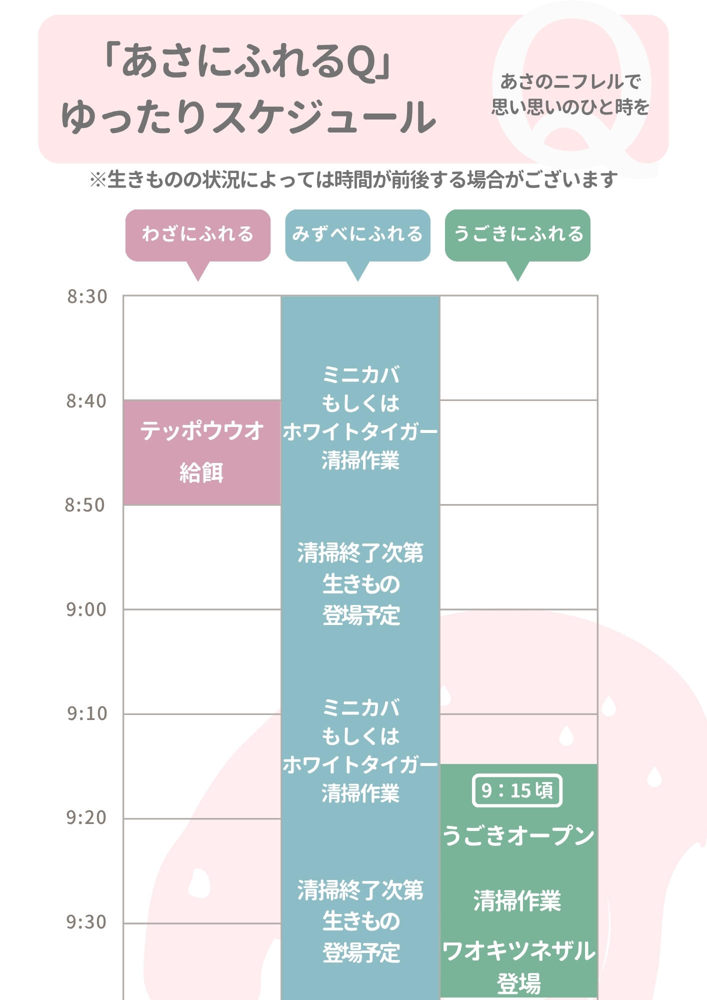 タイムスケジュール.jpg