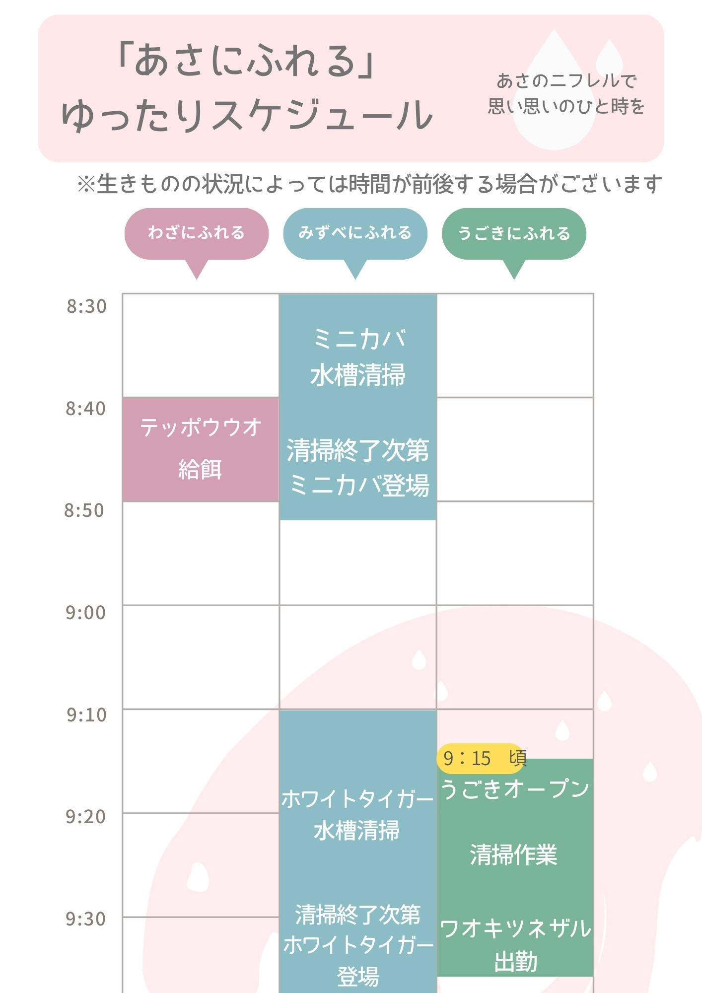 スケジュール.jpg