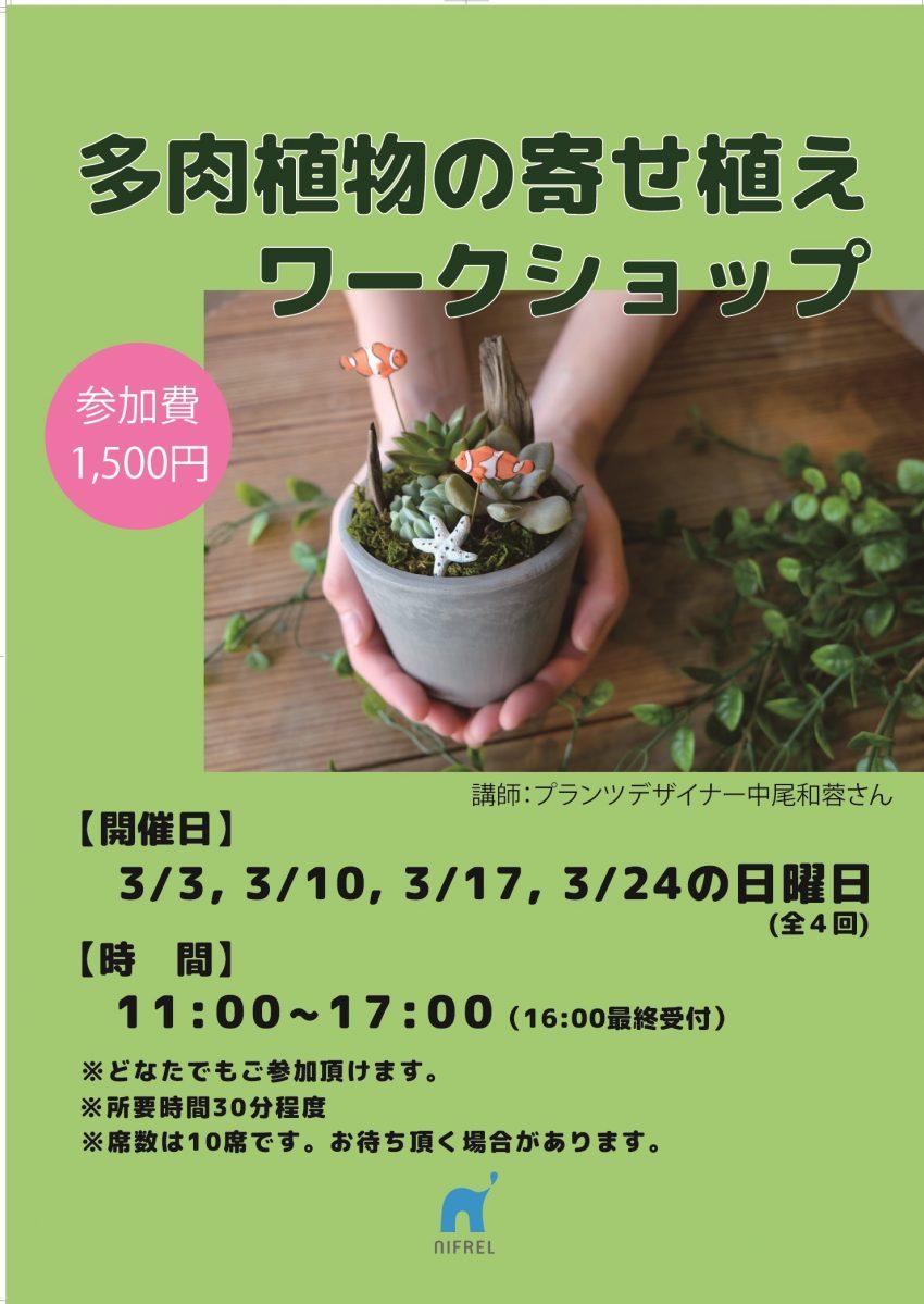 終了しました おしゃれ な 多肉植物の寄せ植え を作るワークショップ イベント ニュース ニフレル