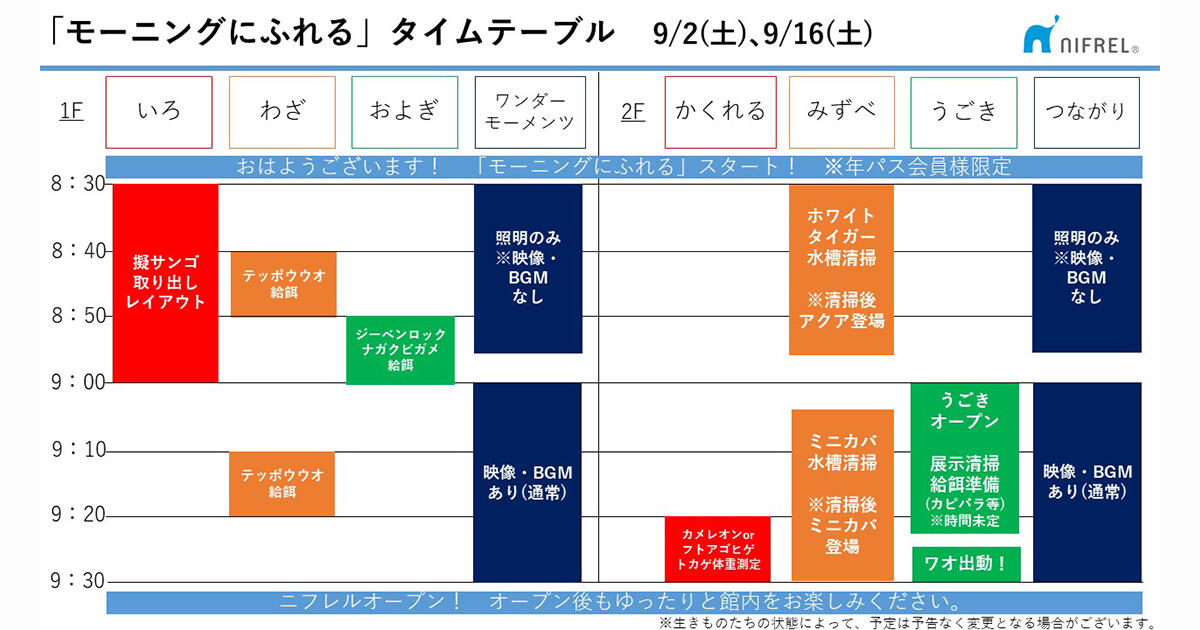 timetable.jpg